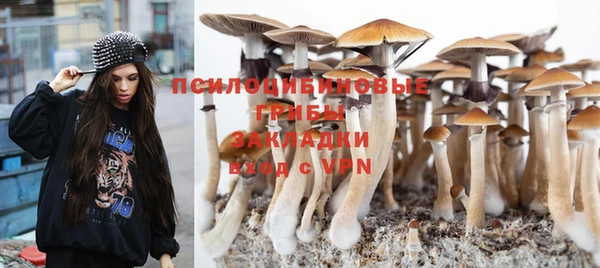прущая мука Навашино
