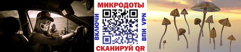 Купить закладки  Гдов  Псилоцибиновые грибы прущие грибы 